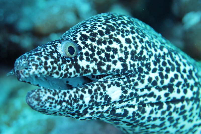 Curacao 04-12 379.JPG